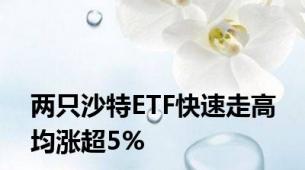 两只沙特ETF快速走高 均涨超5%