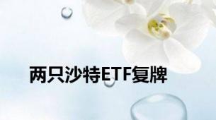 两只沙特ETF复牌