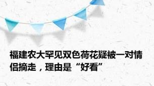 福建农大罕见双色荷花疑被一对情侣摘走，理由是“好看”