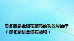 忍冬藤是金银花藤吗的功效与治疗（忍冬藤是金银花藤吗）