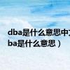 dba是什么意思中文（dba是什么意思）