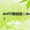 dnf55粉短剑（dnf55粉）