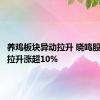 养鸡板块异动拉升 晓鸣股份水下拉升涨超10%