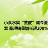 小众水果“黄皮”成今夏水果新宠 商超销量增长超200%