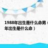 1988年出生是什么命男（1988年出生是什么命）