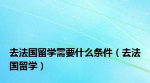 去法国留学需要什么条件（去法国留学）