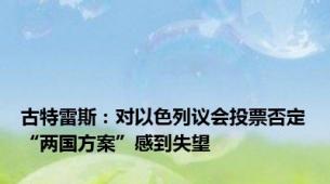 古特雷斯：对以色列议会投票否定“两国方案”感到失望