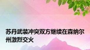 苏丹武装冲突双方继续在森纳尔州激烈交火