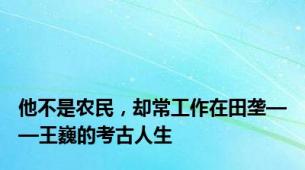 他不是农民，却常工作在田垄——王巍的考古人生