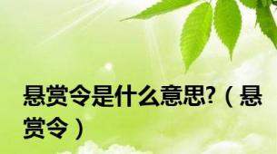 悬赏令是什么意思?（悬赏令）