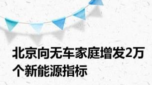 北京向无车家庭增发2万个新能源指标