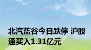 北汽蓝谷今日跌停 沪股通买入1.31亿元