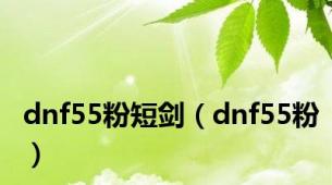 dnf55粉短剑（dnf55粉）