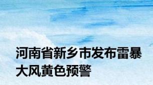 河南省新乡市发布雷暴大风黄色预警