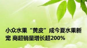 小众水果“黄皮”成今夏水果新宠 商超销量增长超200%