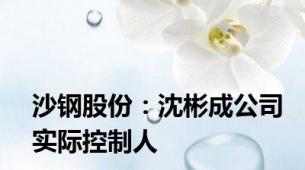 沙钢股份：沈彬成公司实际控制人