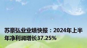 苏豪弘业业绩快报：2024年上半年净利润增长37.25%