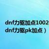 dnf力驱加点1002021（dnf力驱pk加点）