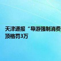 天津通报“导游强制消费”：拟顶格罚3万