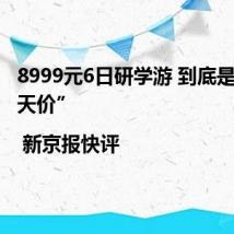 8999元6日研学游 到底是不是“天价” | 新京报快评