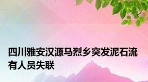 四川雅安汉源马烈乡突发泥石流 有人员失联