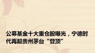 公募基金十大重仓股曝光，宁德时代再超贵州茅台“登顶”