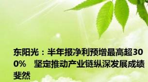 东阳光：半年报净利预增最高超300%   坚定推动产业链纵深发展成绩斐然