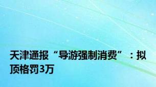 天津通报“导游强制消费”：拟顶格罚3万