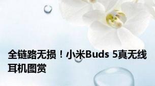 全链路无损！小米Buds 5真无线耳机图赏