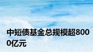 中短债基金总规模超8000亿元