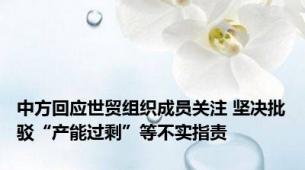 中方回应世贸组织成员关注 坚决批驳“产能过剩”等不实指责