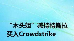 “木头姐”减持特斯拉 买入Crowdstrike