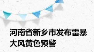 河南省新乡市发布雷暴大风黄色预警