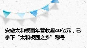 安徽太和板面年营收超40亿元，已拿下“太和板面之乡”称号