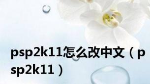 psp2k11怎么改中文（psp2k11）