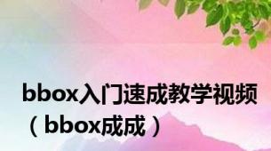 bbox入门速成教学视频（bbox成成）