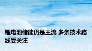 锂电池储能仍是主流 多条技术路线受关注