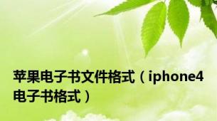 苹果电子书文件格式（iphone4电子书格式）