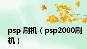 psp 刷机（psp2000刷机）