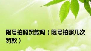 限号拍照罚款吗（限号拍照几次罚款）