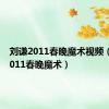 刘谦2011春晚魔术视频（刘谦2011春晚魔术）