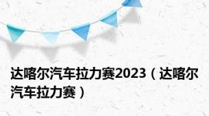 达喀尔汽车拉力赛2023（达喀尔汽车拉力赛）