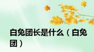 白兔团长是什么（白兔团）