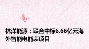 林洋能源：联合中标6.66亿元海外智能电能表项目