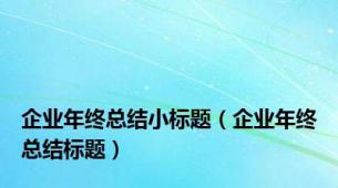 企业年终总结小标题（企业年终总结标题）