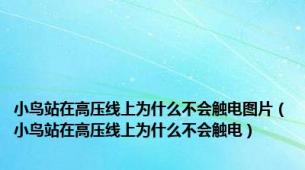 小鸟站在高压线上为什么不会触电图片（小鸟站在高压线上为什么不会触电）