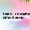 A股收评：上证50指数震荡回调跌近1% 终结9连阳