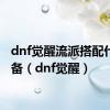 dnf觉醒流派搭配什么装备（dnf觉醒）