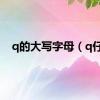 q的大写字母（q仔）