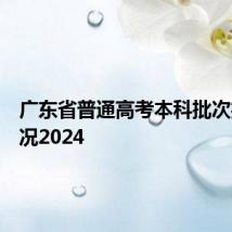 广东省普通高考本科批次投档情况2024